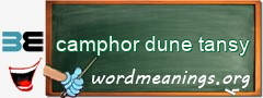 WordMeaning blackboard for camphor dune tansy
